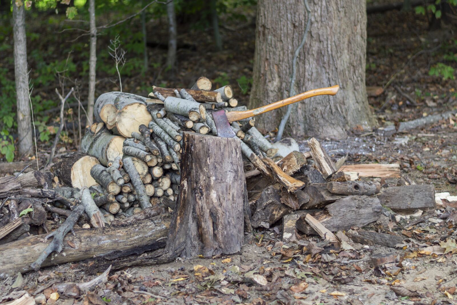 Nikon D3200 sample photo. Firewood, ax, logs photography