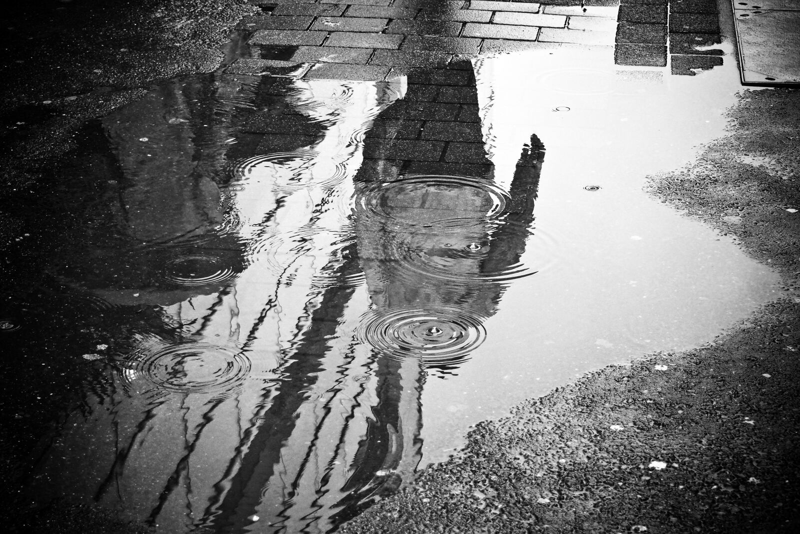 Olympus OM-D E-M10 sample photo. Rain, puddle, water photography