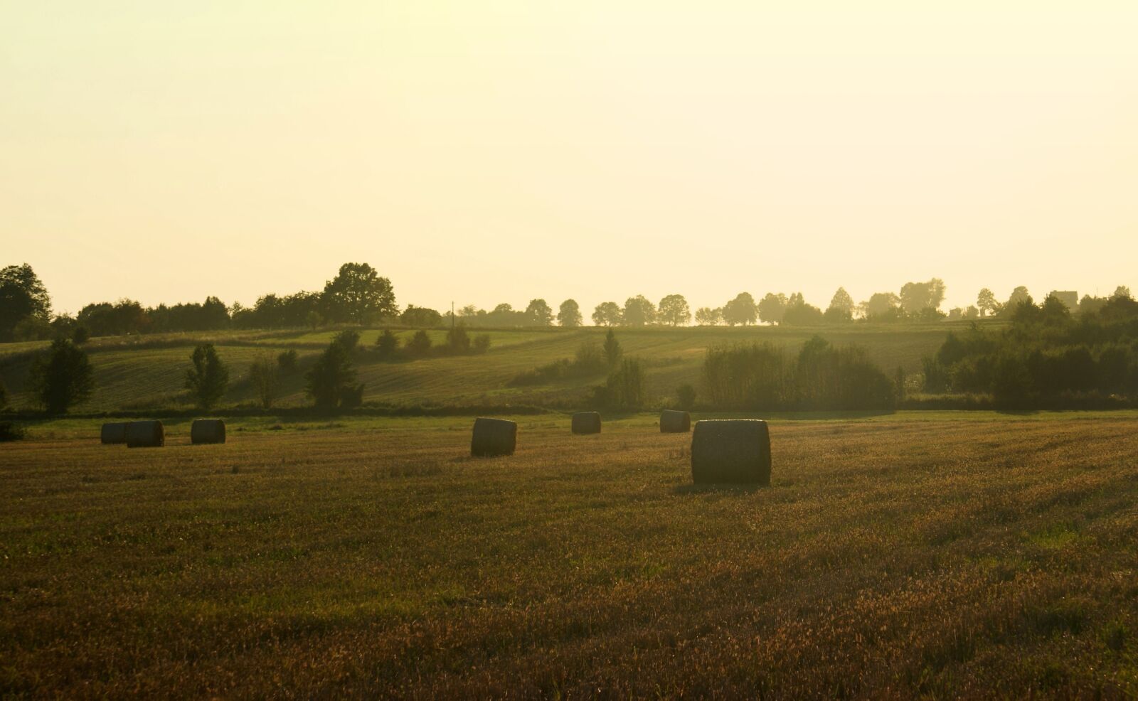 Sony Alpha DSLR-A100 sample photo. Field, bales, landscape photography