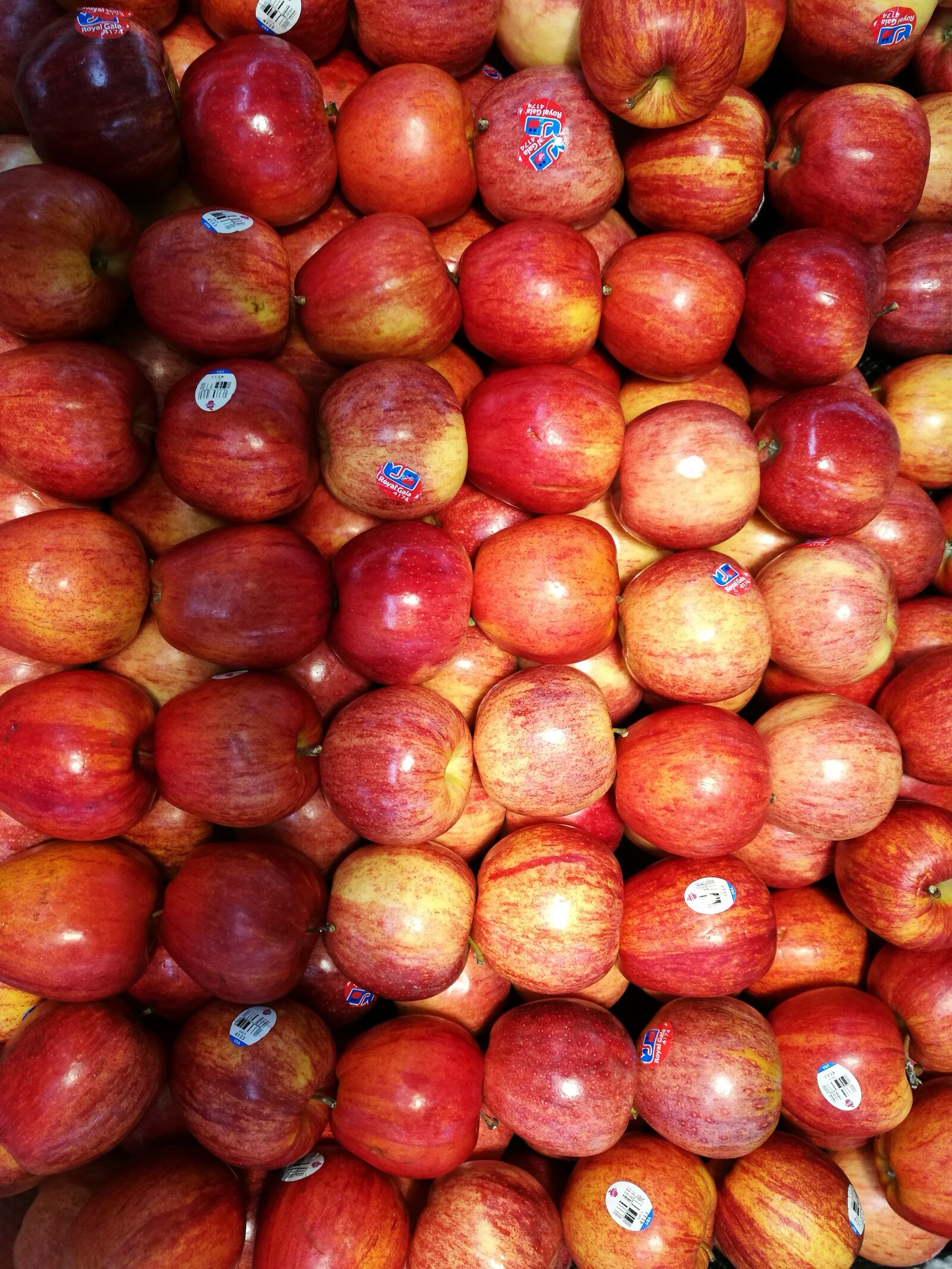 HUAWEI P9 sample photo. Red, round, gloss photography
