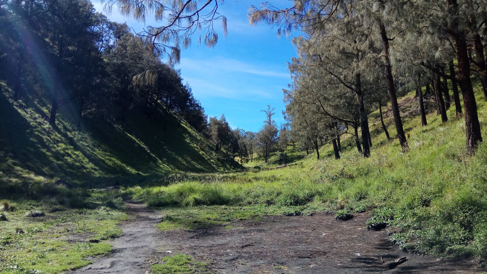 Xiaomi Redmi Note 4 sample photo. Meadow, grass, land photography