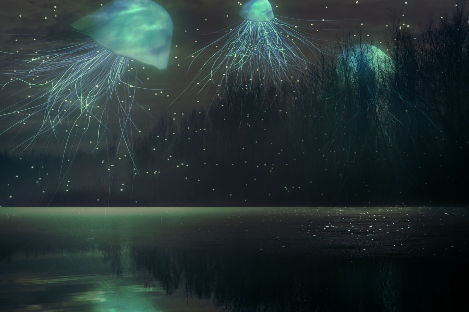 Canon EOS 7D sample photo. Jellyfish, lake, forest photography