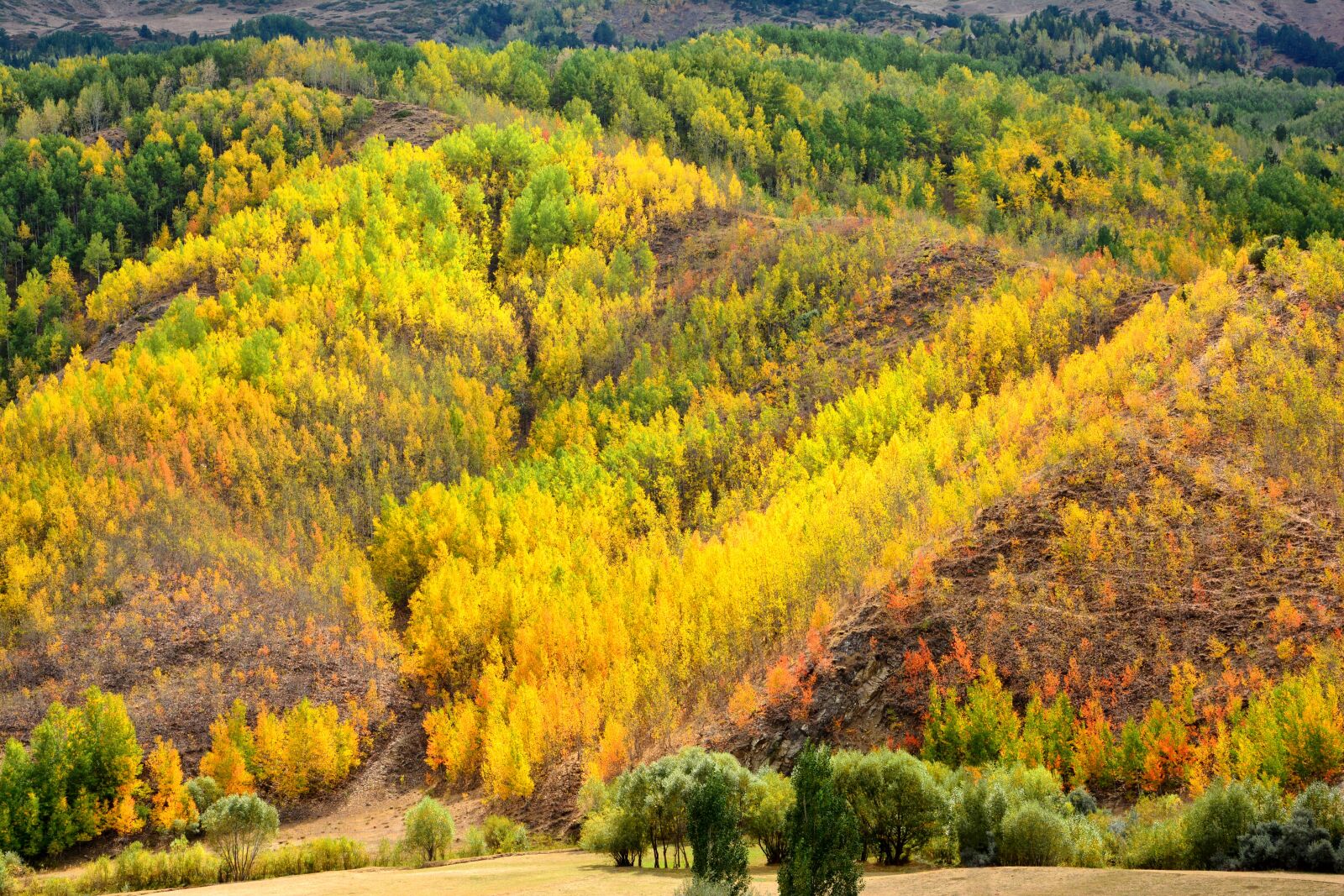 Nikon D7100 sample photo. Nature, landscape, kaçkars photography