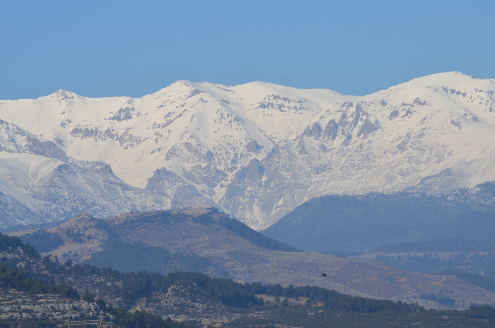 Nikon D5100 sample photo. Taurus, myrtle, snow photography