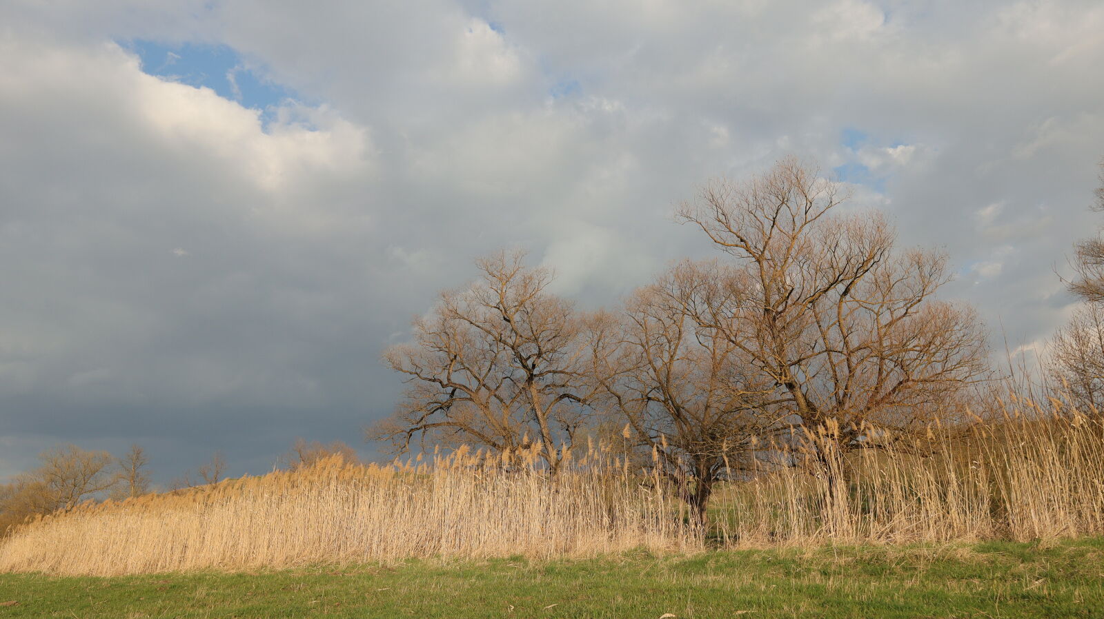 Canon EOS M50 (EOS Kiss M) sample photo
