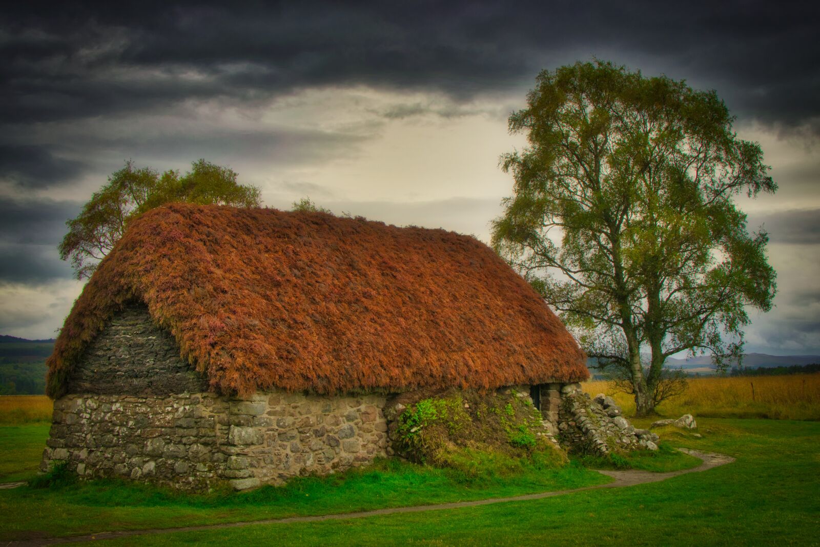 Nikon D5300 sample photo. Hut, old, tree photography