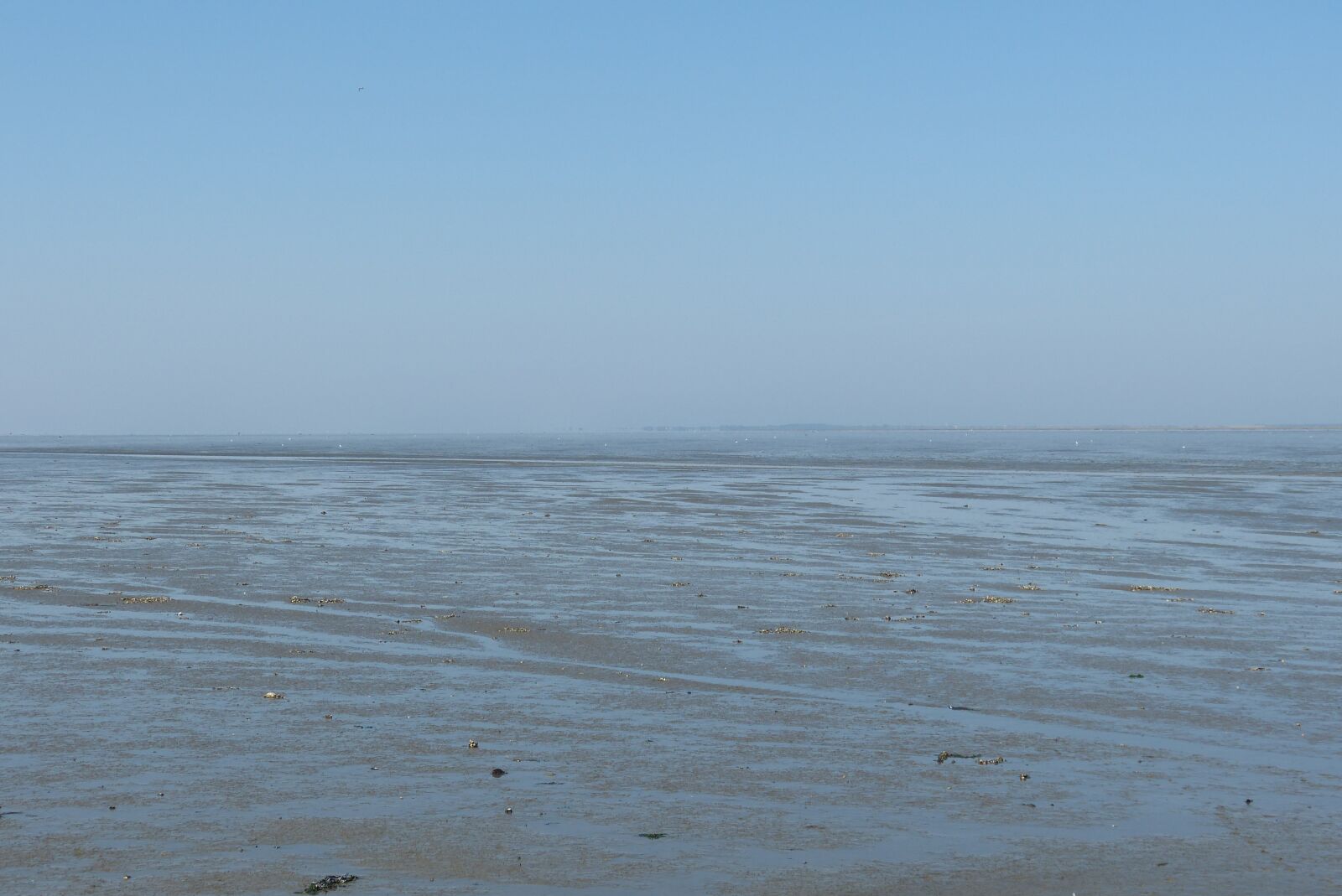 Panasonic Lumix DMC-FZ150 sample photo. Ebb, north sea, neuharlingersiel photography