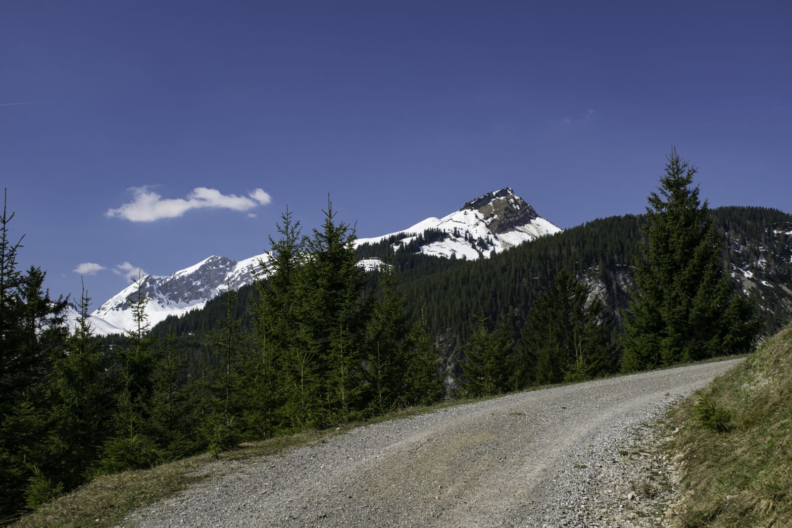 Nikon D3300 sample photo. Alps, mountains, path photography