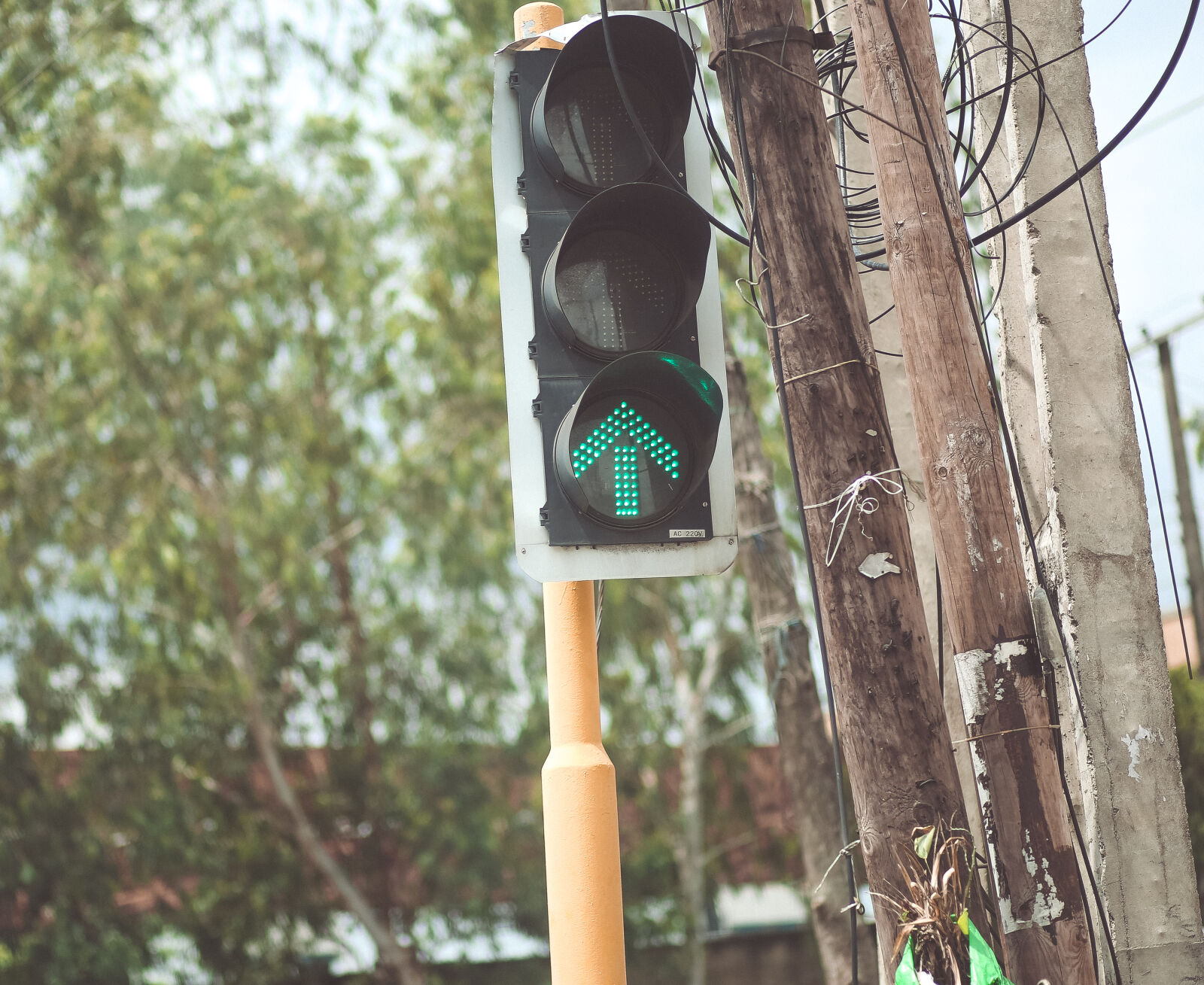Canon EF 85mm F1.8 USM sample photo