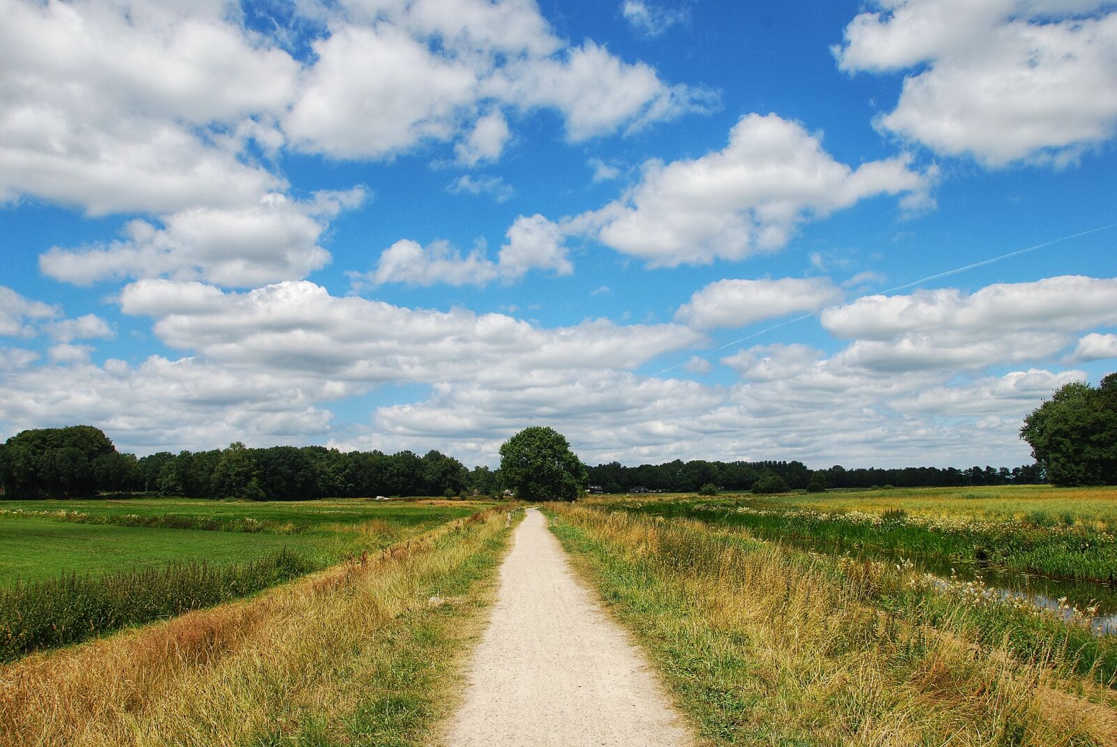 Nikon D80 sample photo. Landscape, summer, nature photography