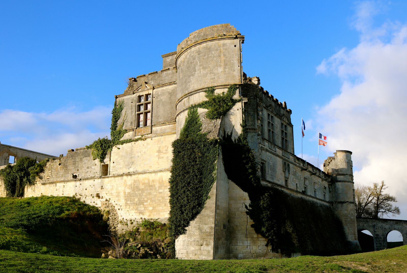 Canon EOS 750D (EOS Rebel T6i / EOS Kiss X8i) sample photo. Medieval castle, bouteville, charente photography