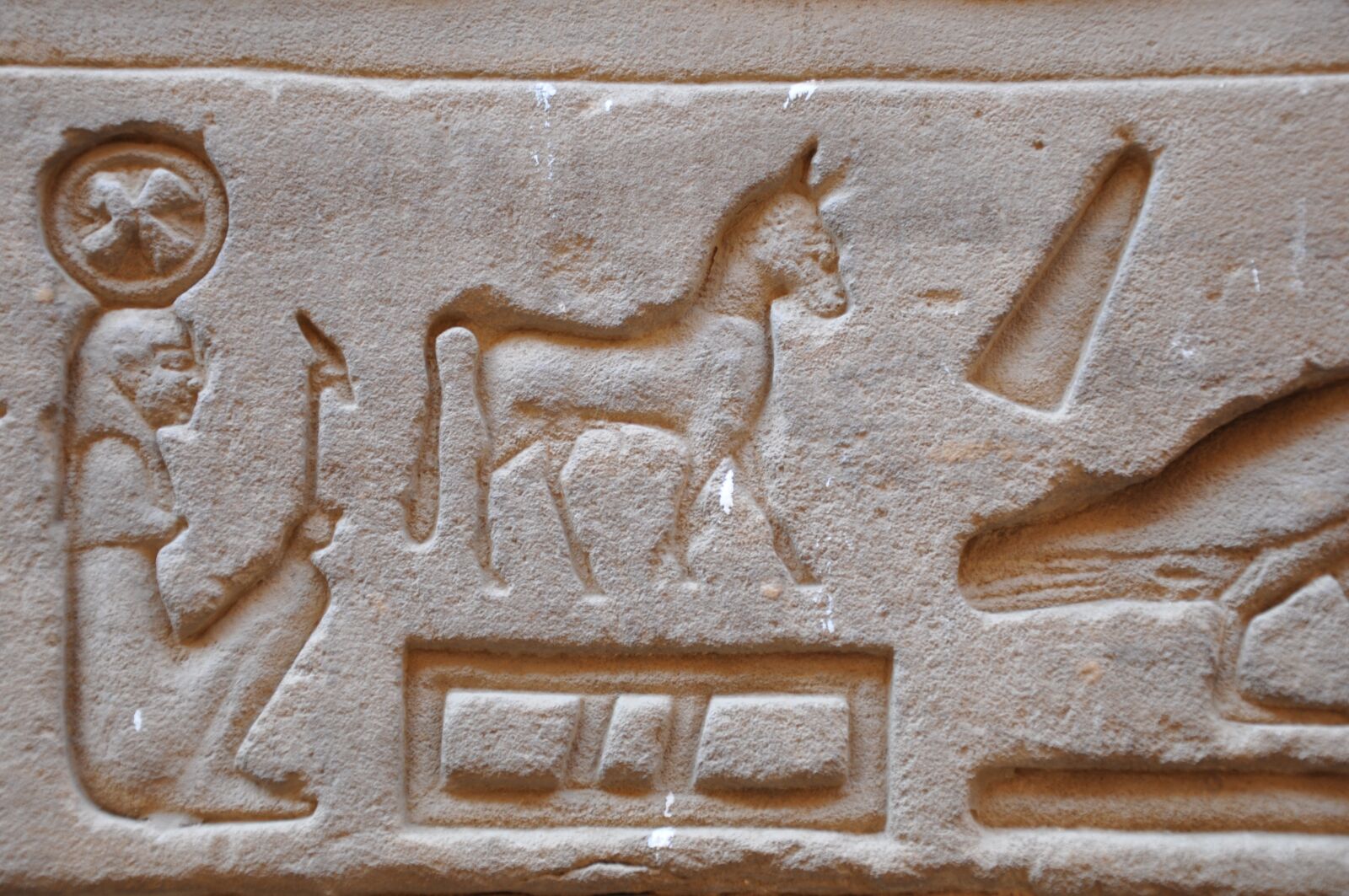 Nikon D90 sample photo. Egypt, temple, hieroglyphs photography