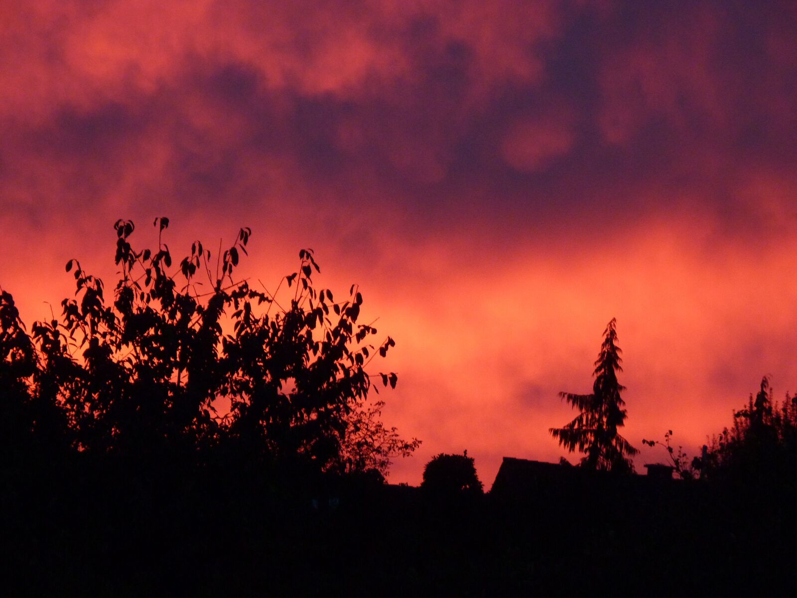 Panasonic Lumix DMC-FZ35 (Lumix DMC-FZ38) sample photo. Sky, sunset, clouds photography