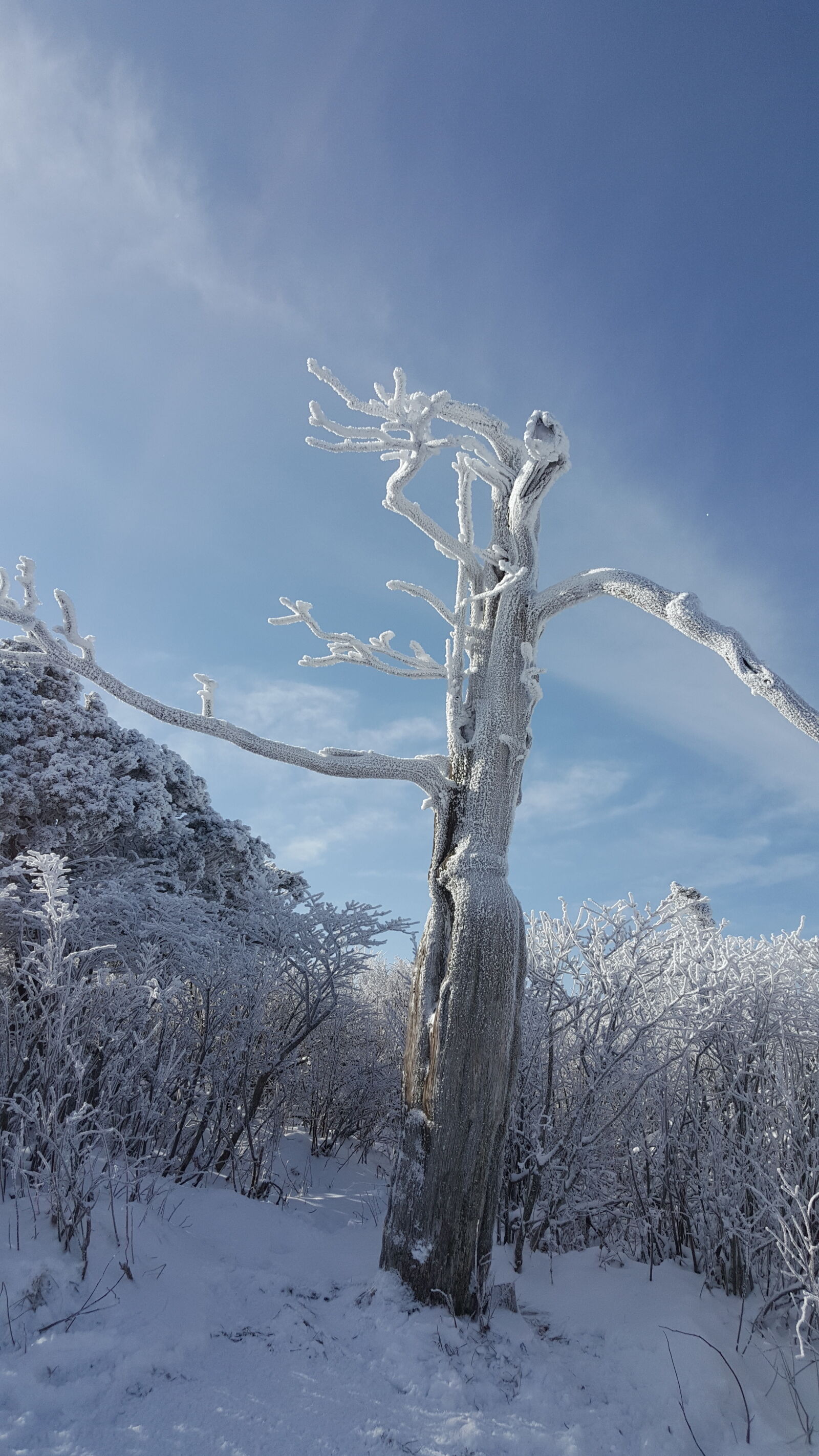 Samsung Galaxy Note5 sample photo. Korea, mountain, taebaeksan, winter photography