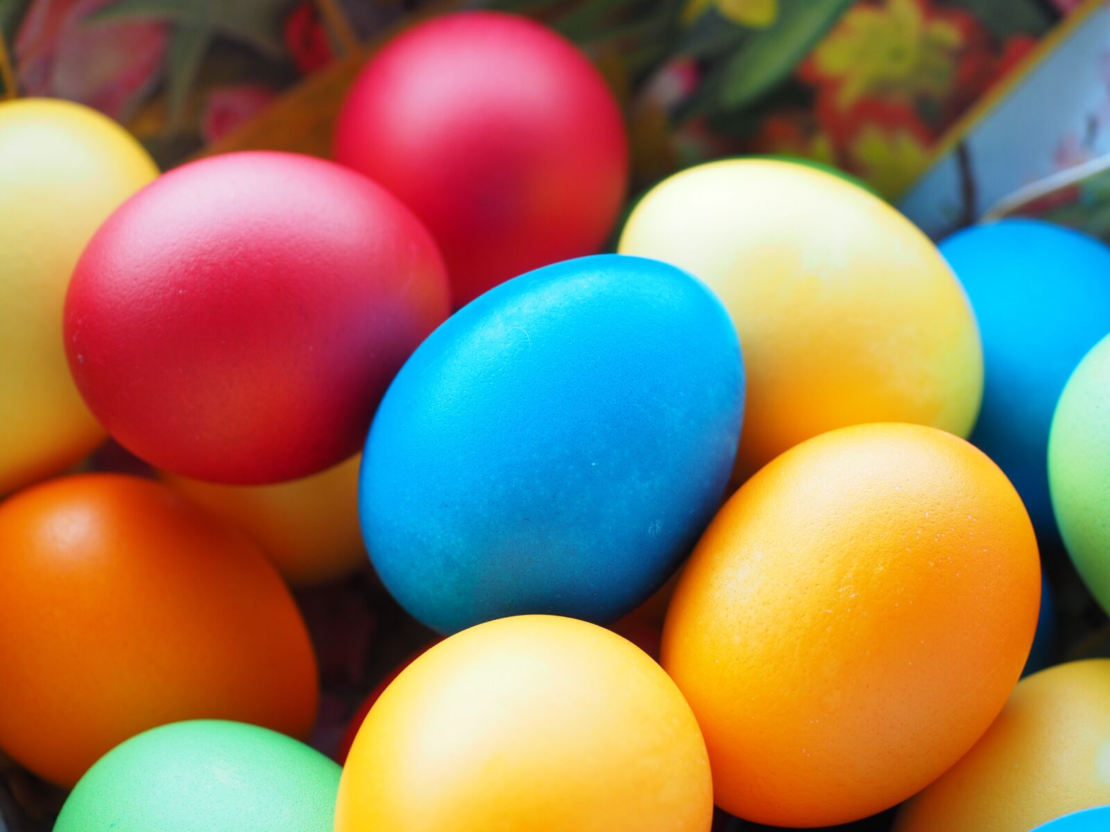 Olympus OM-D E-M1 + Olympus M.Zuiko Digital ED 12-40mm F2.8 Pro sample photo. Easter eggs, colorful, color photography