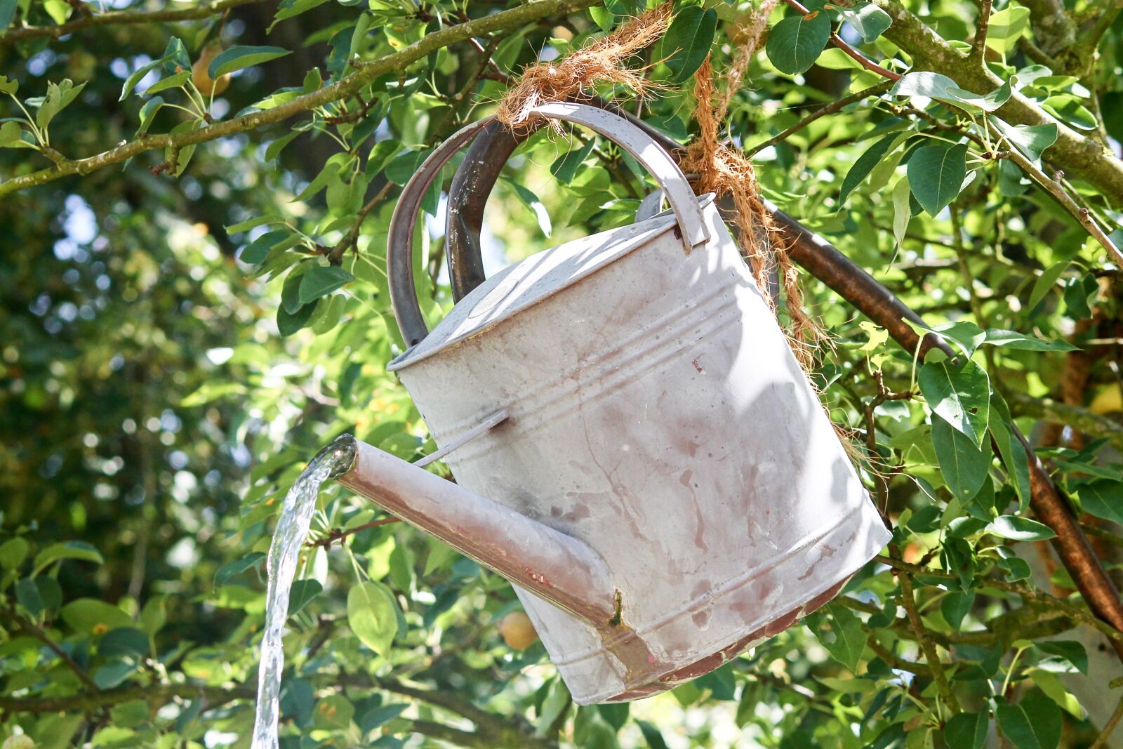 Canon EOS 1100D (EOS Rebel T3 / EOS Kiss X50) sample photo. Watering can, metal, water photography