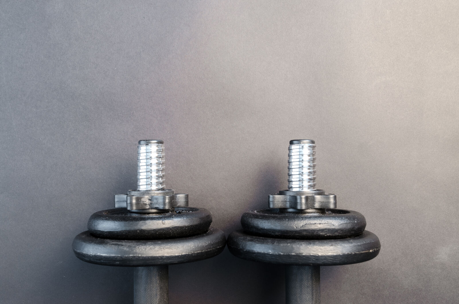 Nikon D5100 sample photo. Two, dumbbells photography
