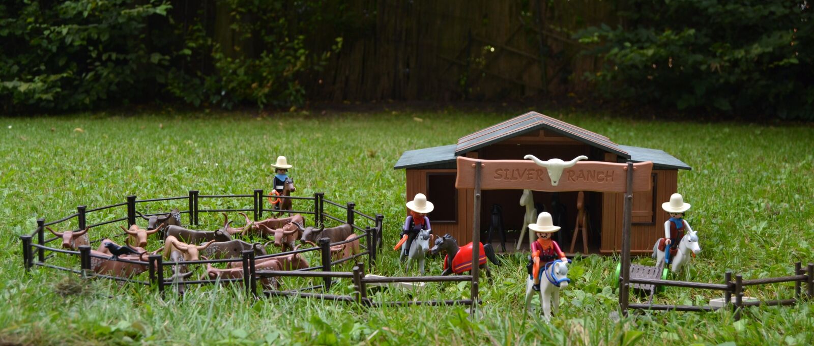 Nikon D3100 sample photo. Playmobil, western, usa photography