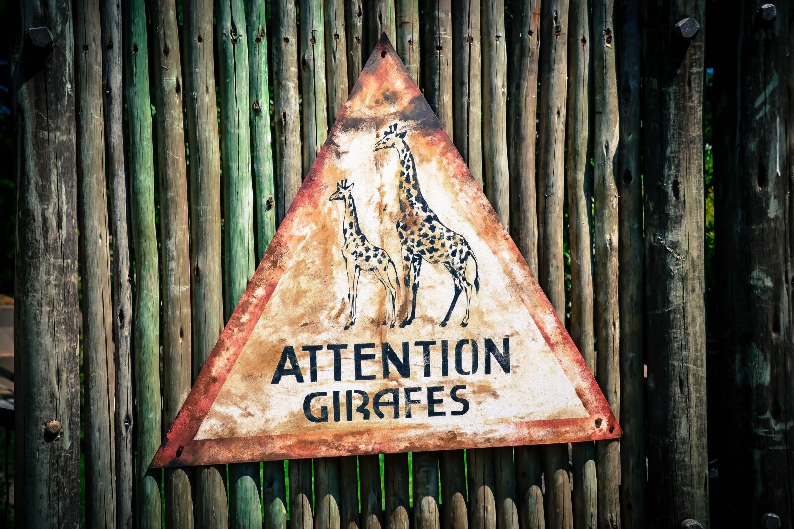 Nikon D3100 sample photo. Signs, brand, ban photography