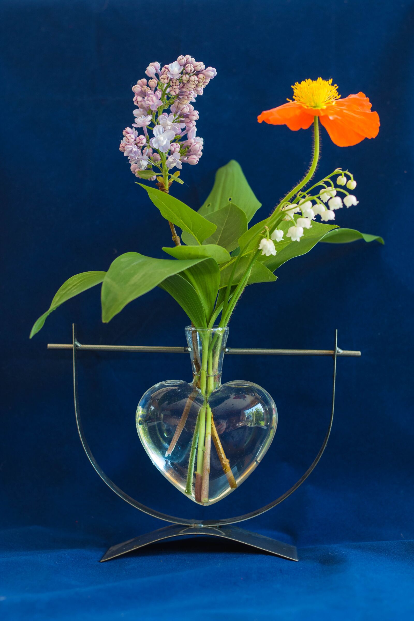 Canon EOS 70D + Canon EF 50mm F1.8 STM sample photo. Flowers, vase, floral composition photography
