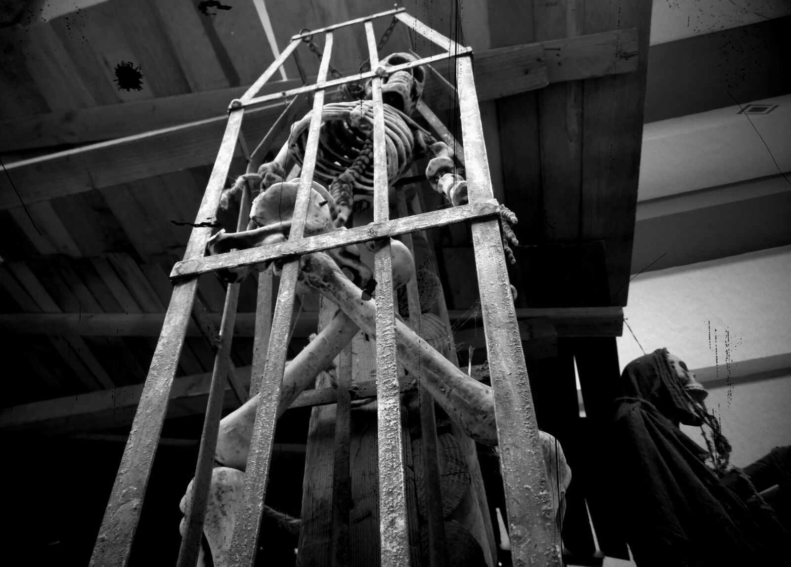 Samsung WB100/  WB101 sample photo. Calavera, dia, muertos, fotografia photography