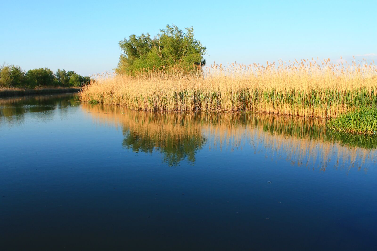 Canon EOS 1100D (EOS Rebel T3 / EOS Kiss X50) sample photo. Lake, landscape, landscapes photography