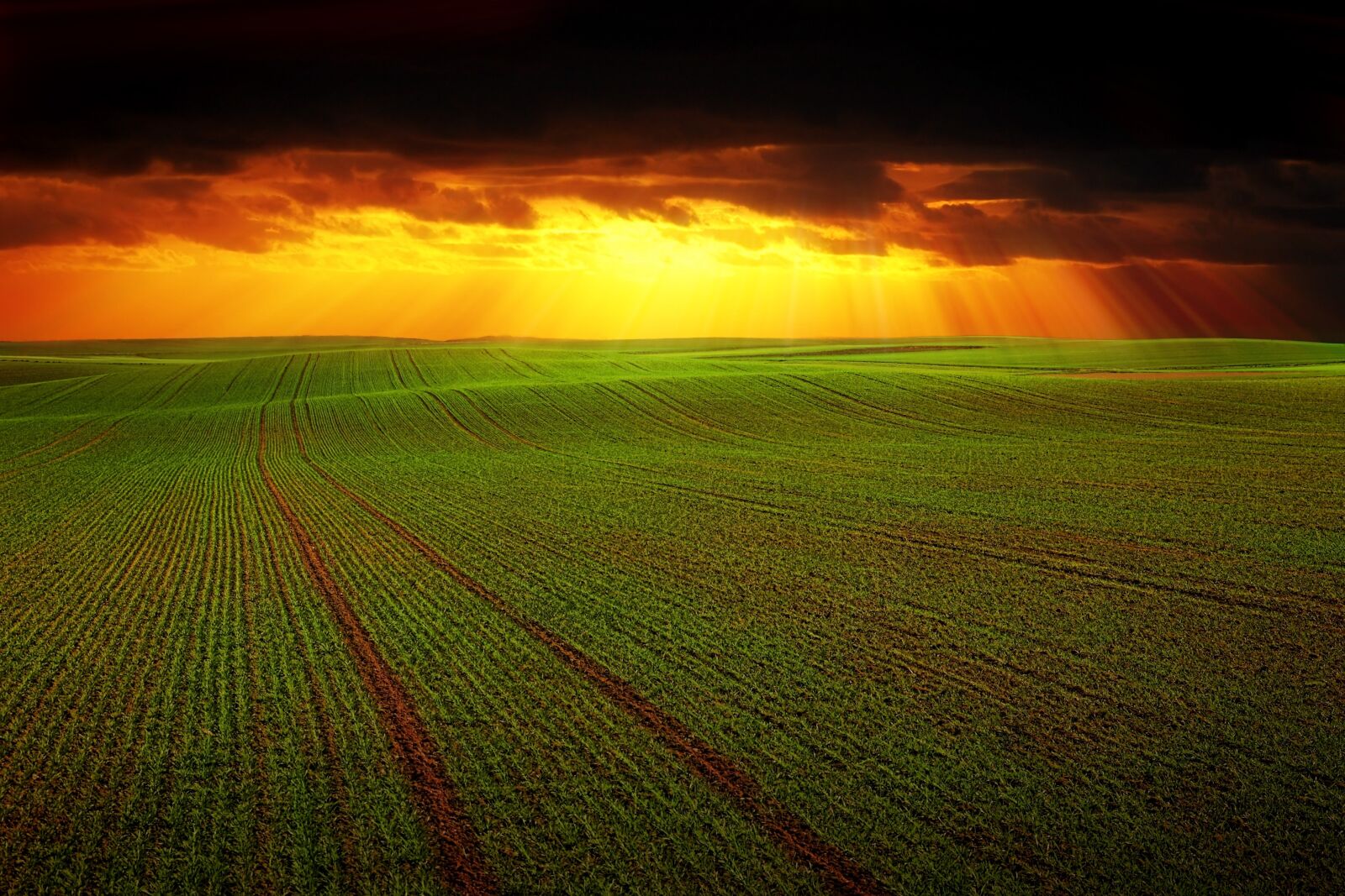 Canon EOS 5D sample photo. Field, landscape, nature photography