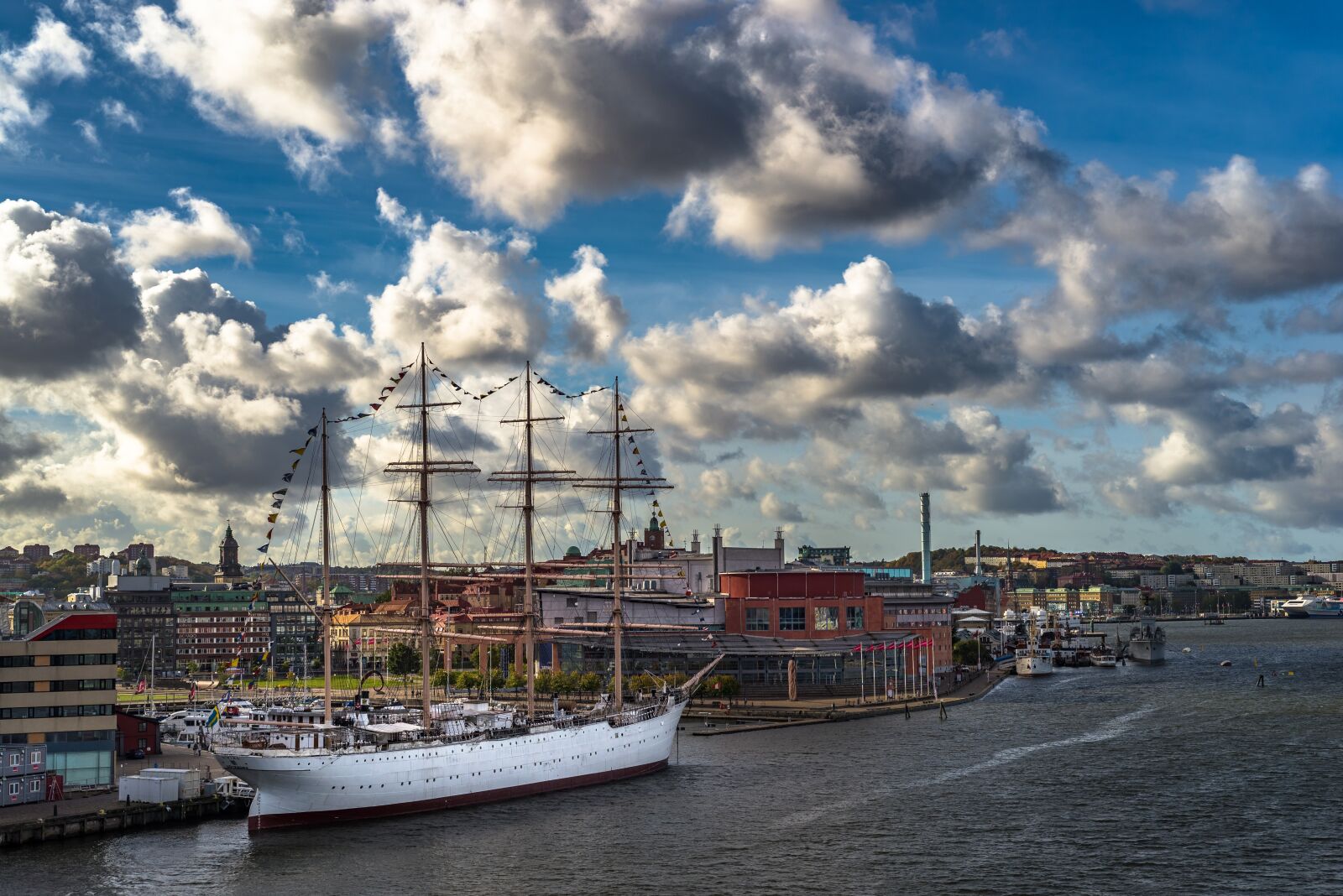 Nikon D610 sample photo. Barken viking, small boom photography