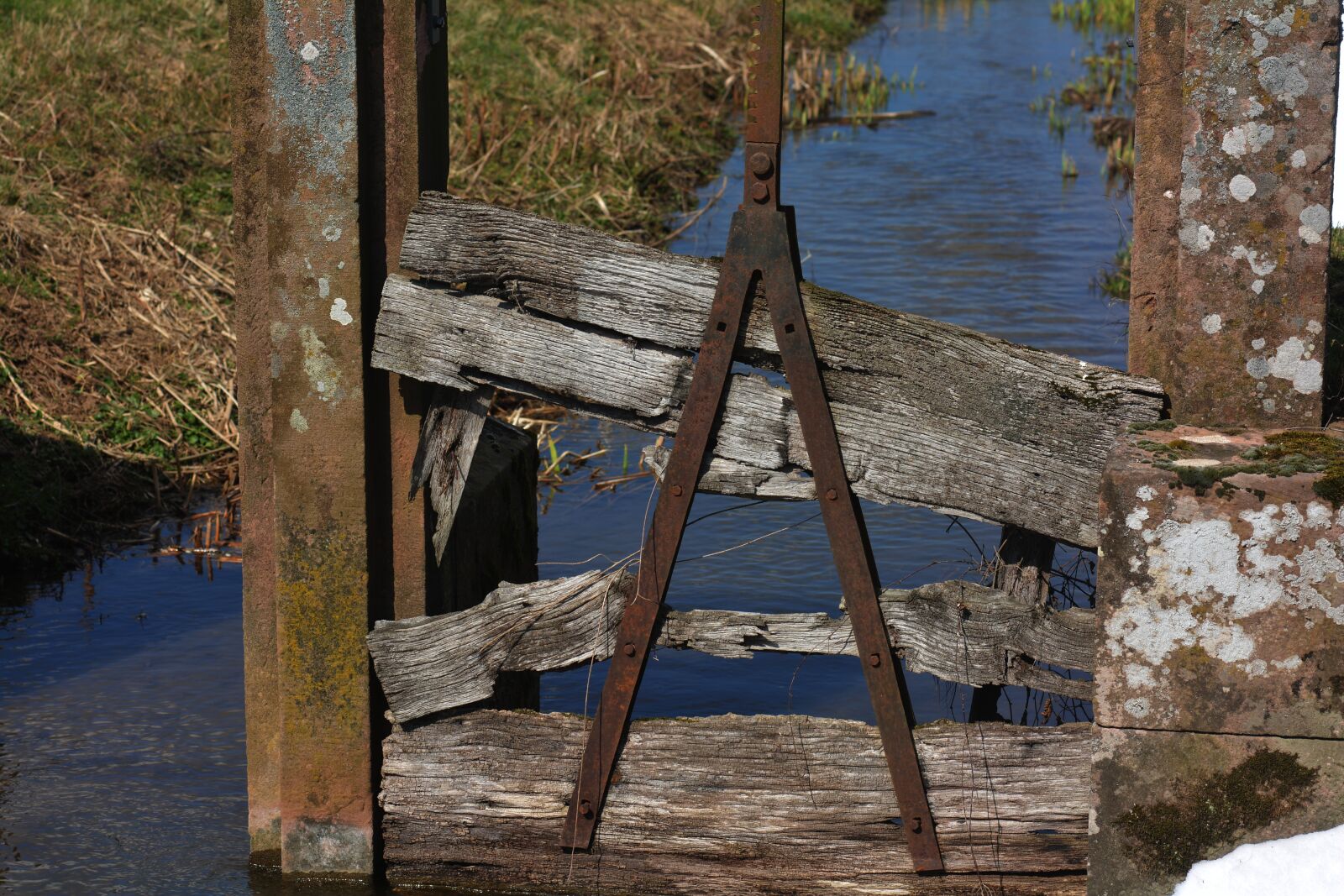 Nikon D5200 sample photo. Wood, waters, nature photography