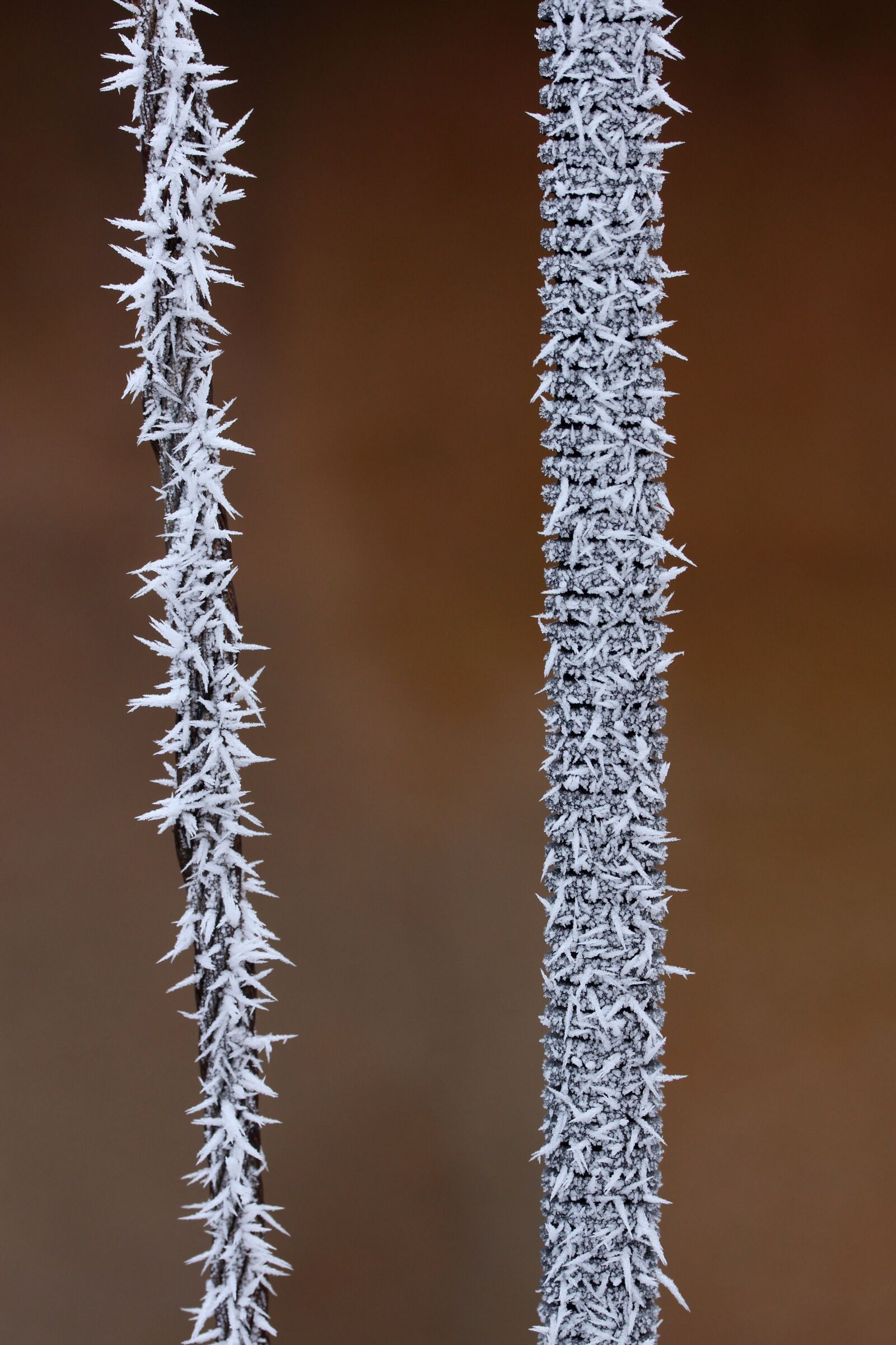 Canon EF-S 60mm F2.8 Macro USM sample photo. Cable, frozen, white photography