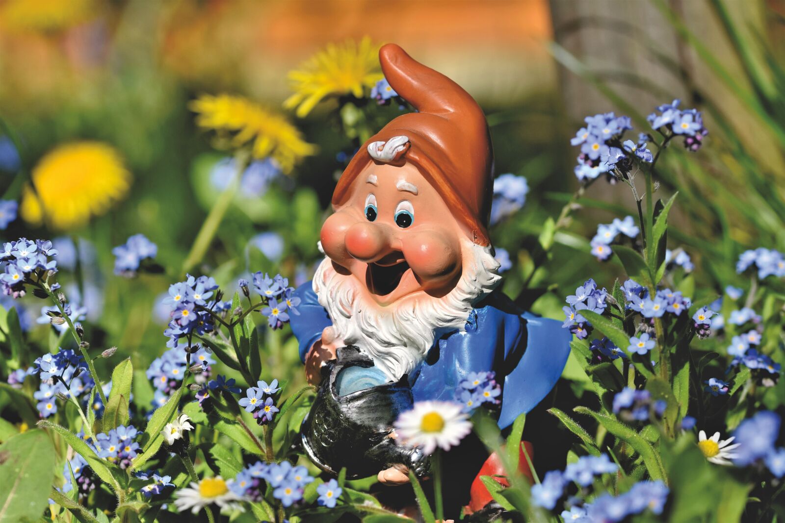 Nikon D7200 sample photo. Garden gnome, dwarf, figure photography