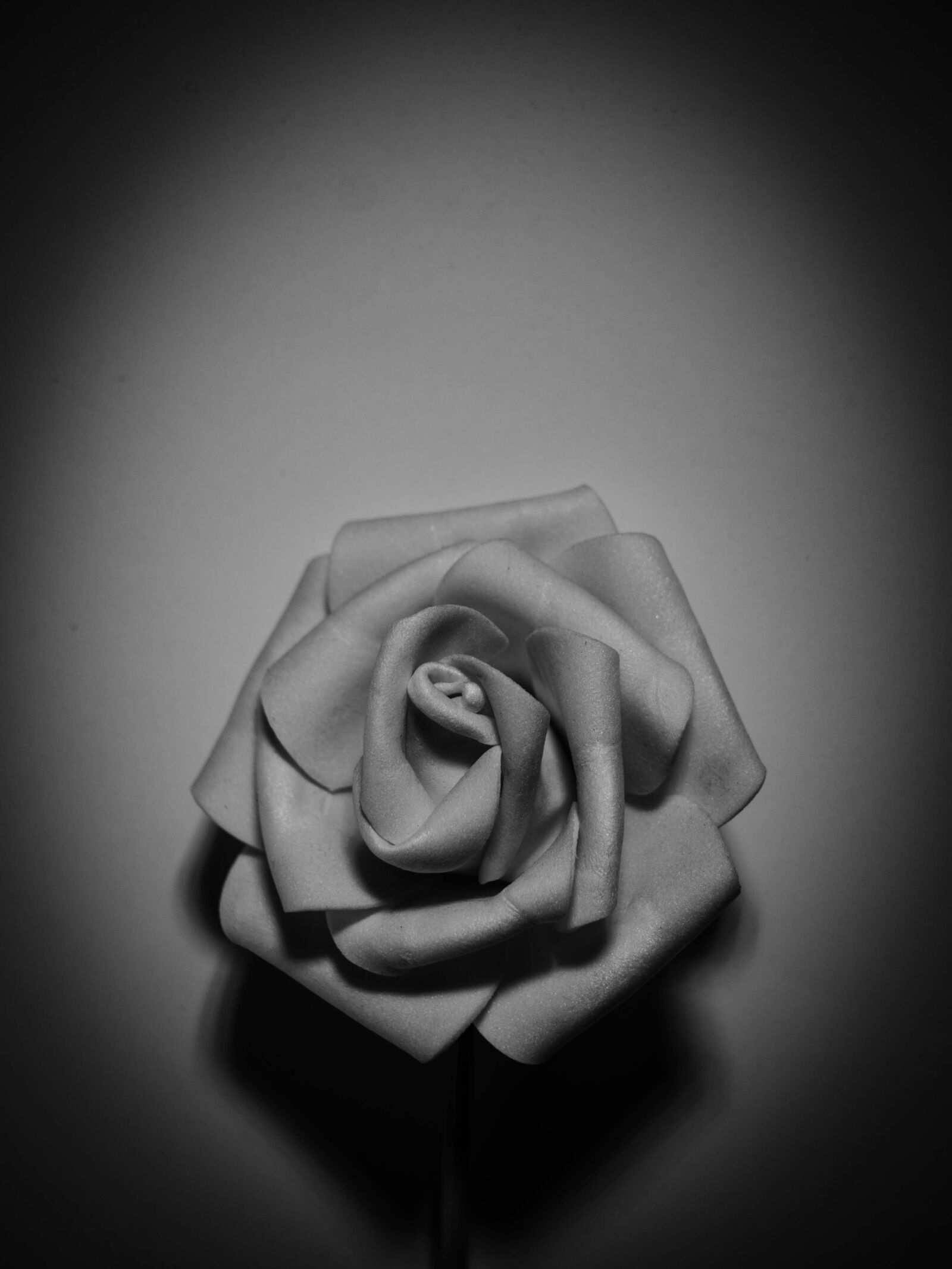 Nikon D5300 sample photo. Rose, black, flower photography