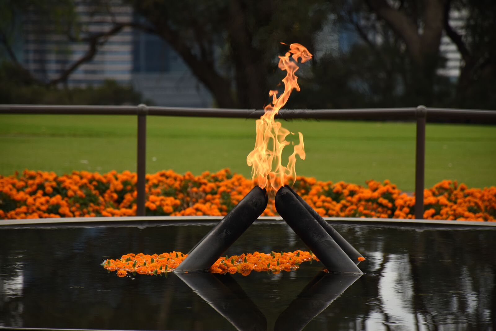 Nikon D7200 sample photo. Fire, flame, red photography