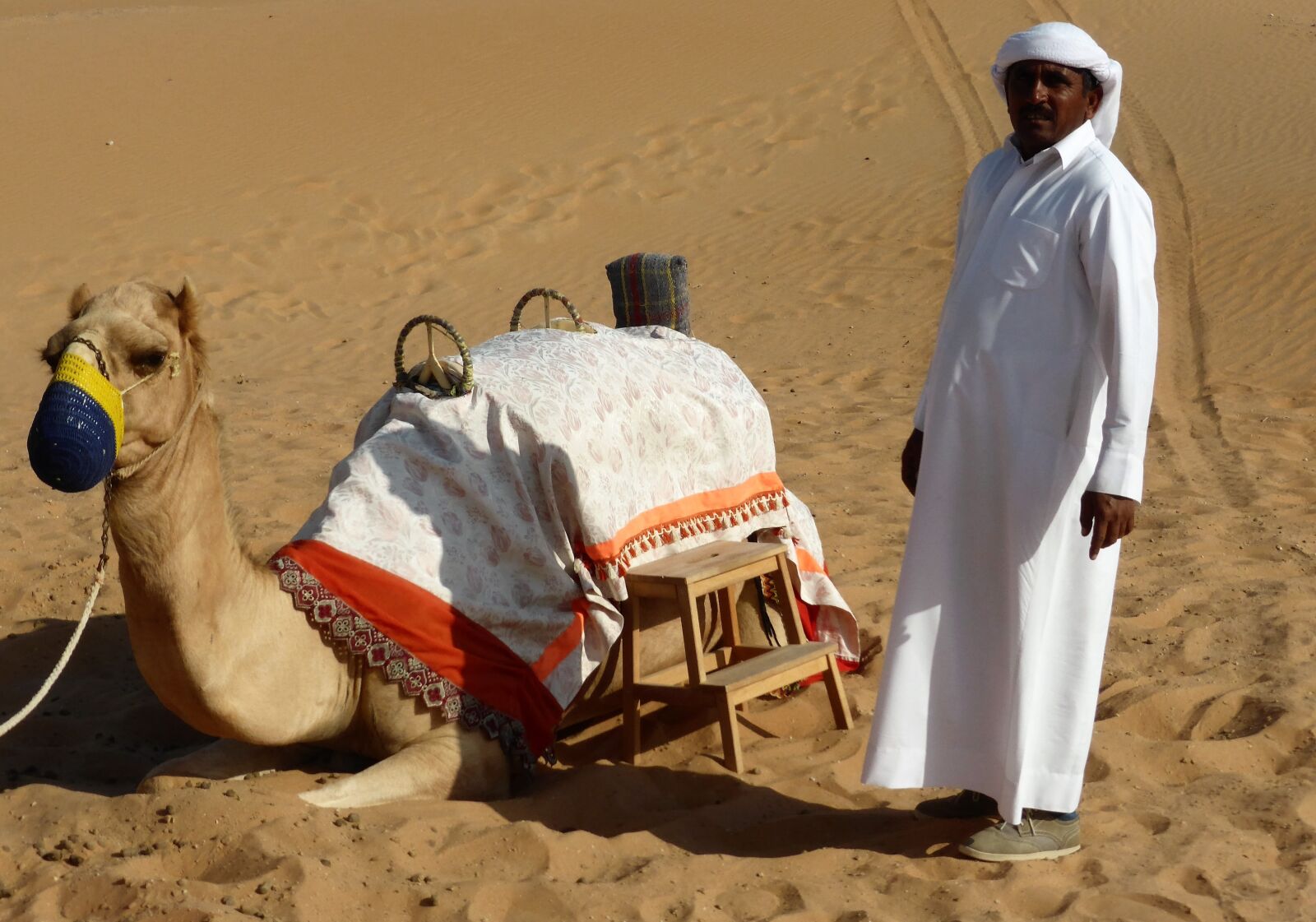 Panasonic Lumix DMC-ZS30 (Lumix DMC-TZ40) sample photo. Transport, dromedary, desert photography