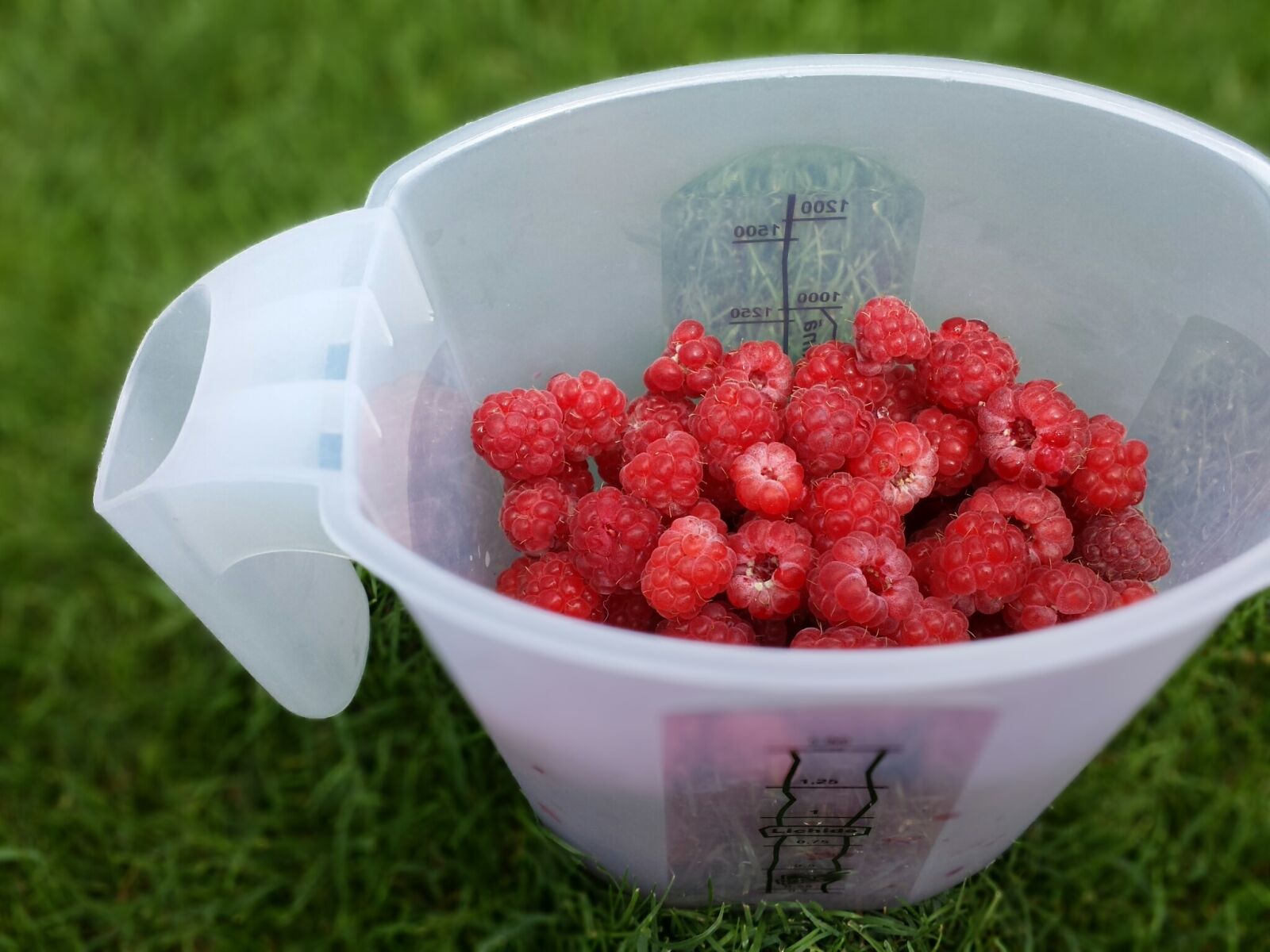 Samsung Galaxy S4 sample photo. Fruits, picnic, raspberries photography