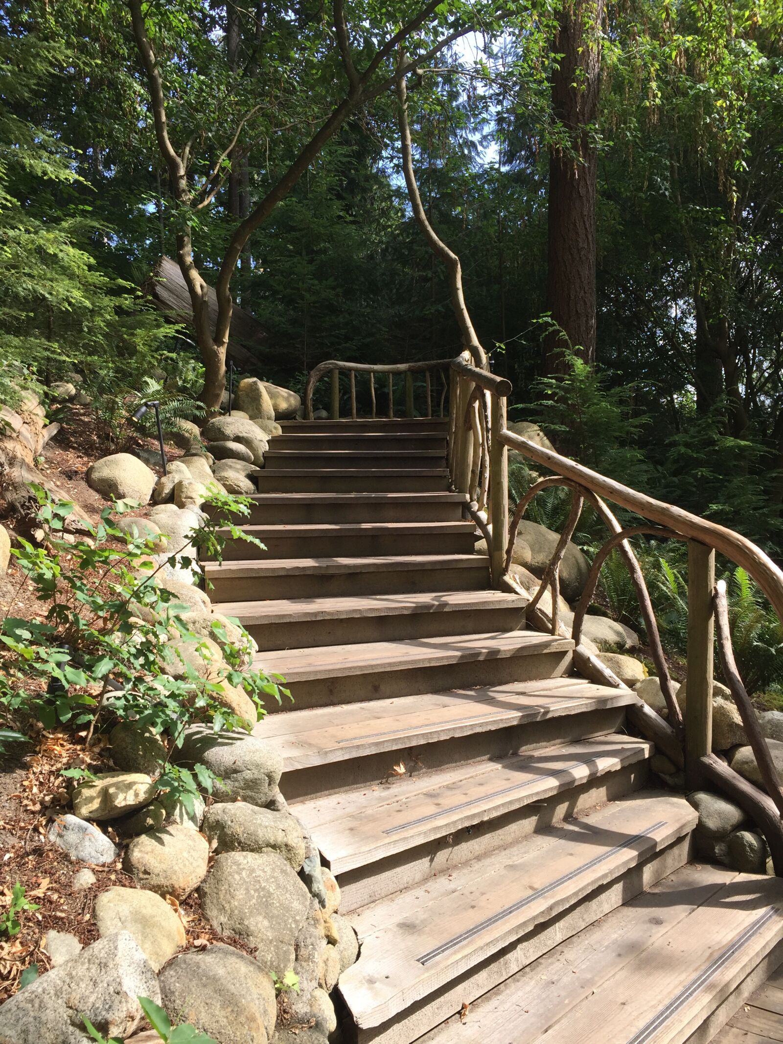 Apple iPhone 6 sample photo. Nature, stairs, wilderness photography