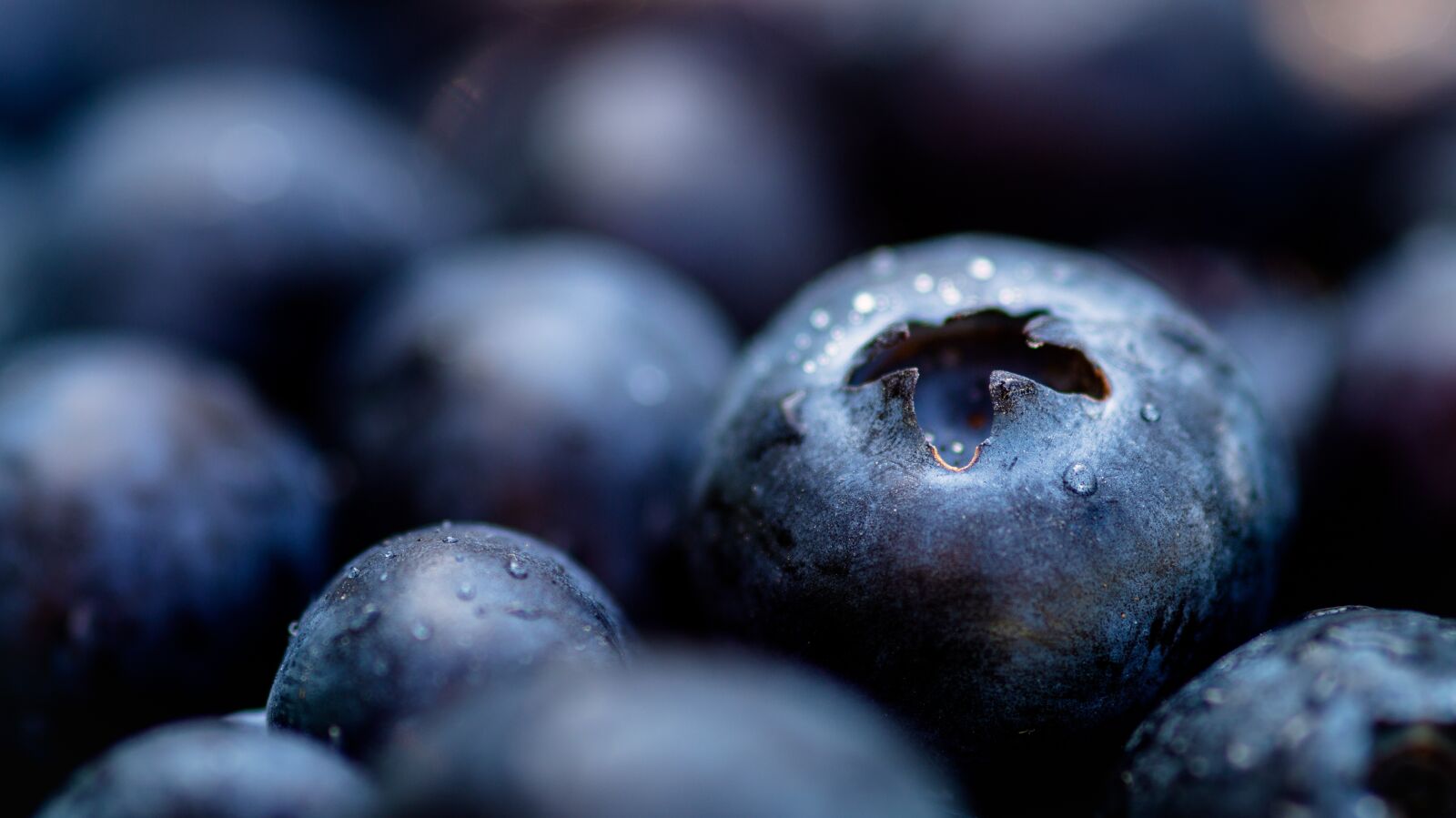 Sony SLT-A58 sample photo. Blue berries, berries, healthy photography