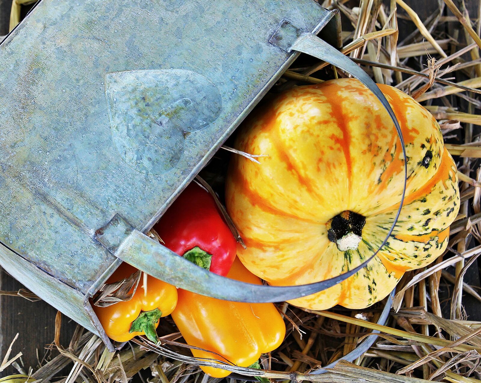 Canon EOS 550D (EOS Rebel T2i / EOS Kiss X4) sample photo. Thanksgiving, pumpkin, paprika photography