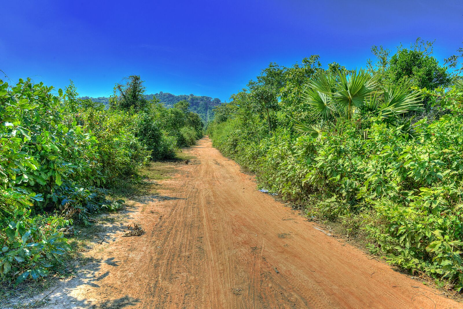 Nikon D800 sample photo. Asia, guide, guidance photography