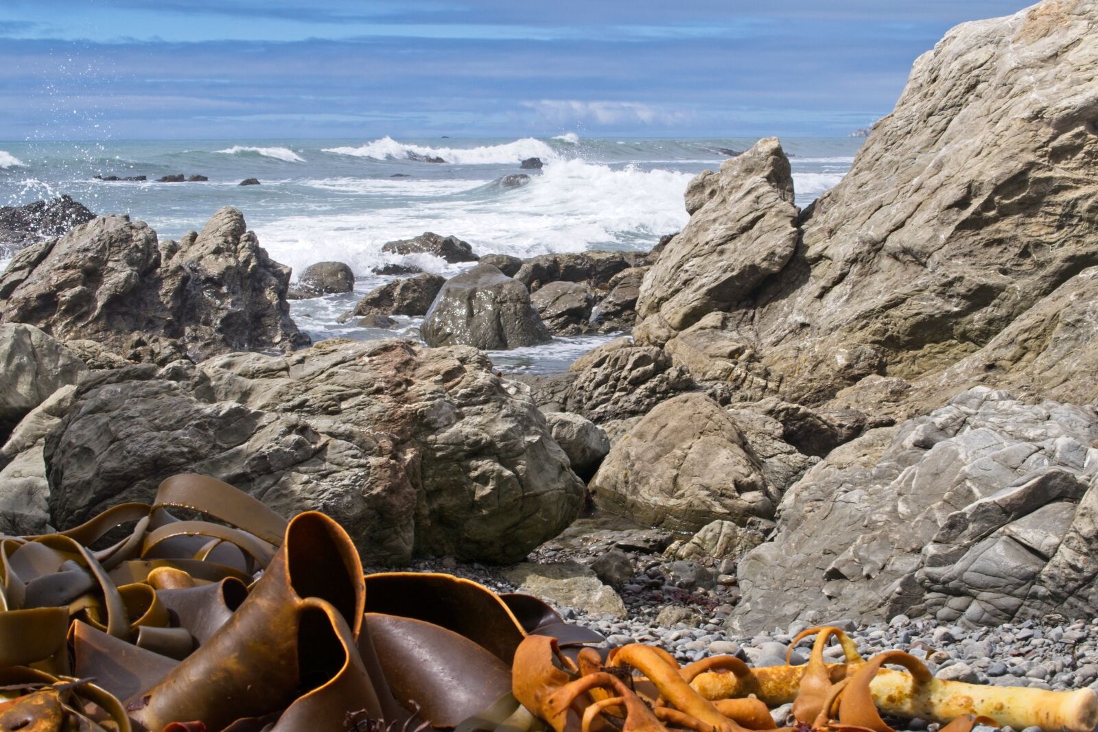 Canon PowerShot G7 X sample photo. Kaikoura, kaikoura coast, south photography