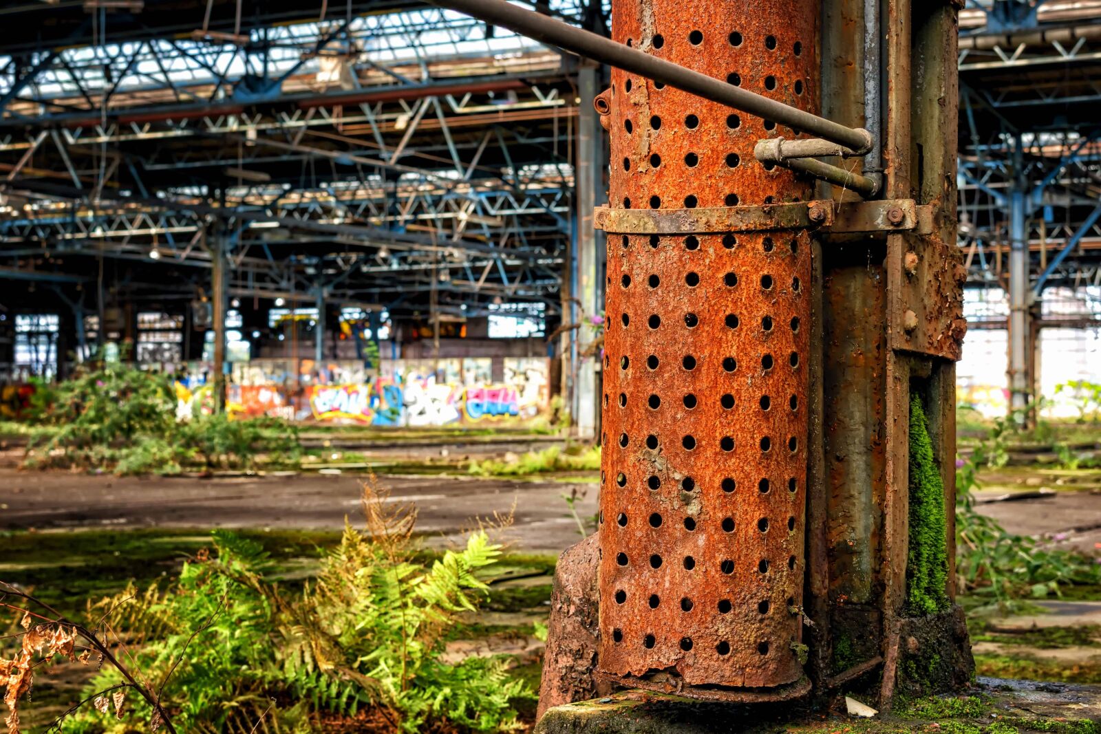 Nikon D3300 sample photo. Plant, grass, concrete, industry photography