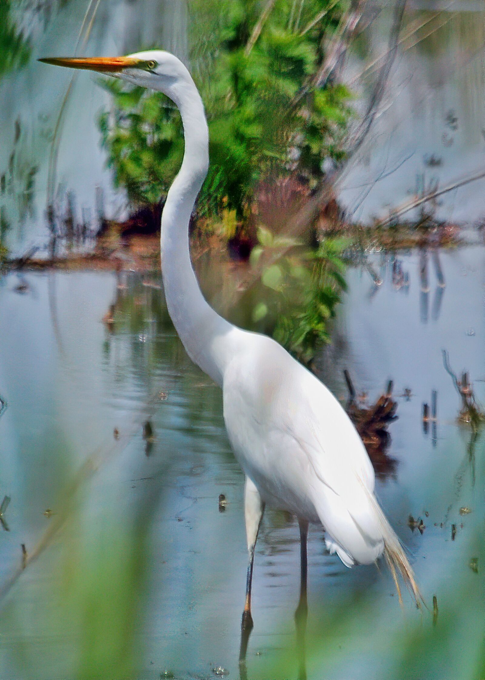 Nikon D80 sample photo. Heron, white, water photography
