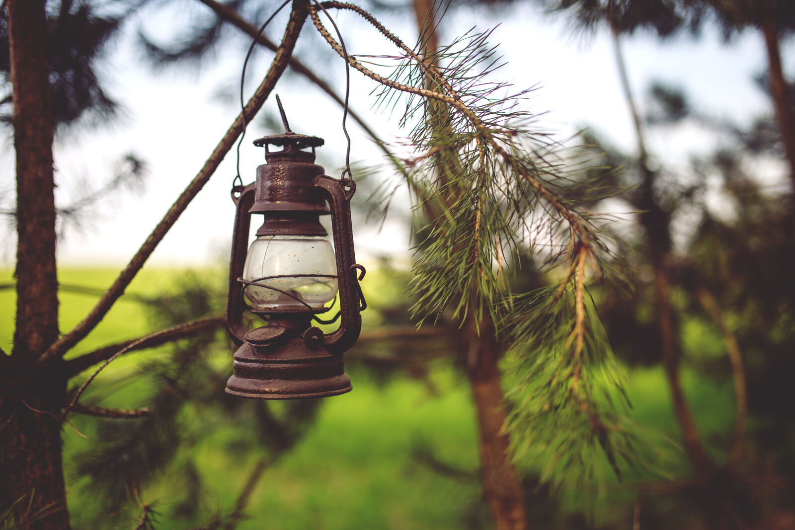 Canon EOS 6D + Sigma 35mm F1.4 DG HSM Art sample photo. Kerosene, lamp, in, the photography