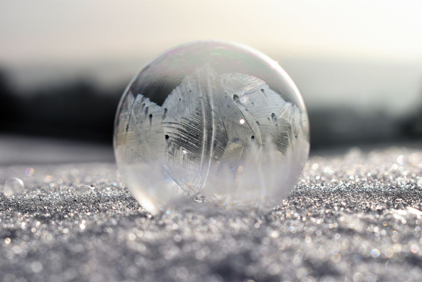 Nikon D5500 sample photo. Soap bubbles, frozen, frost photography
