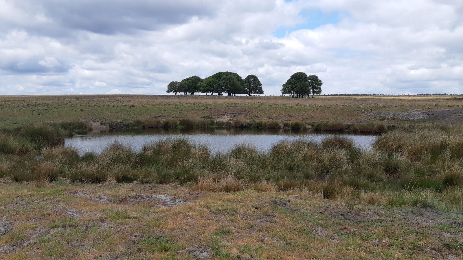Samsung Galaxy A8(2018) sample photo. Veluwe, nature, landscape photography