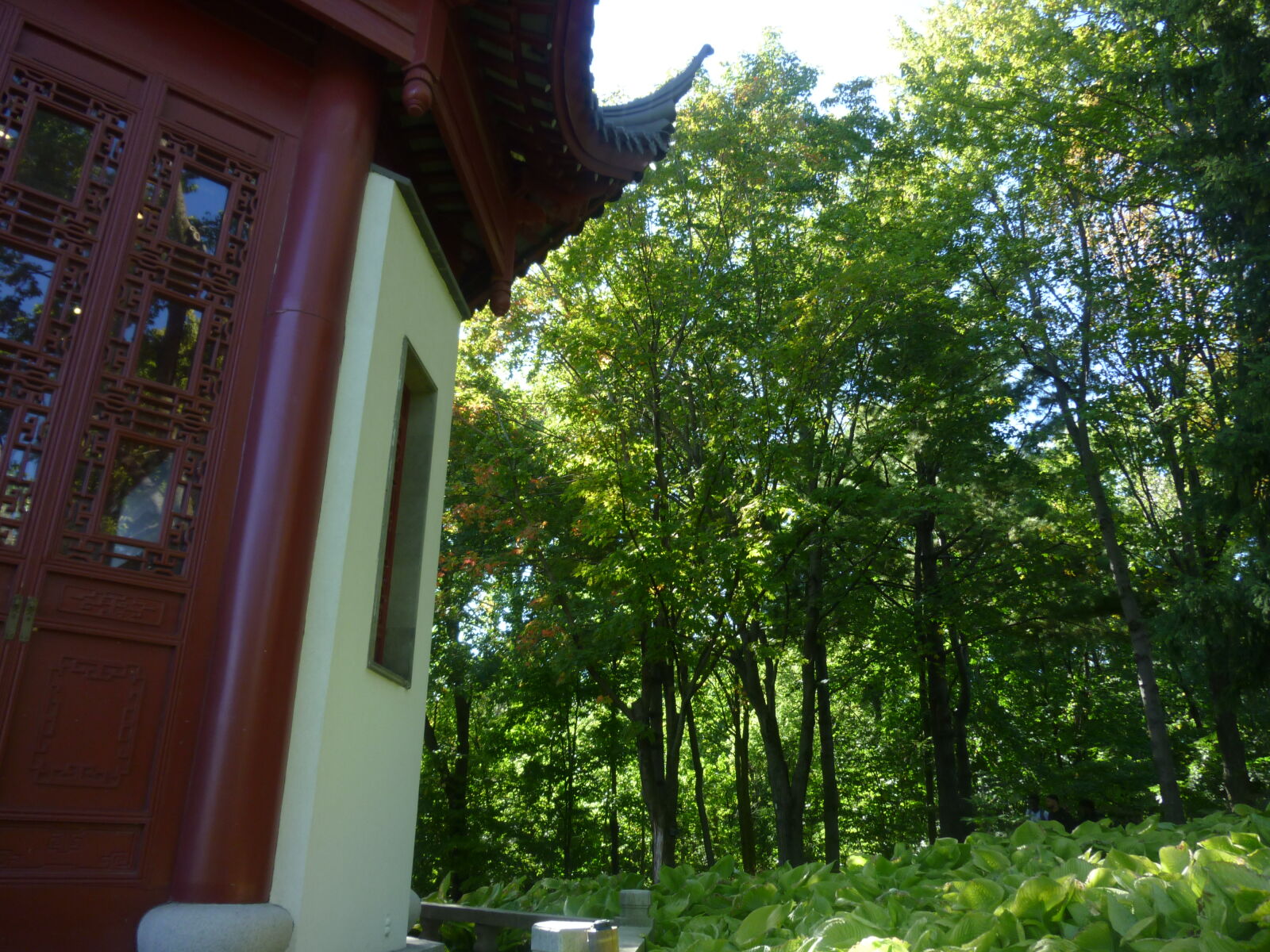 Panasonic DMC-ZR1 sample photo