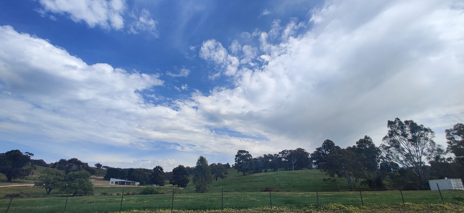 OnePlus GM1910 sample photo. Sky, green, australia photography