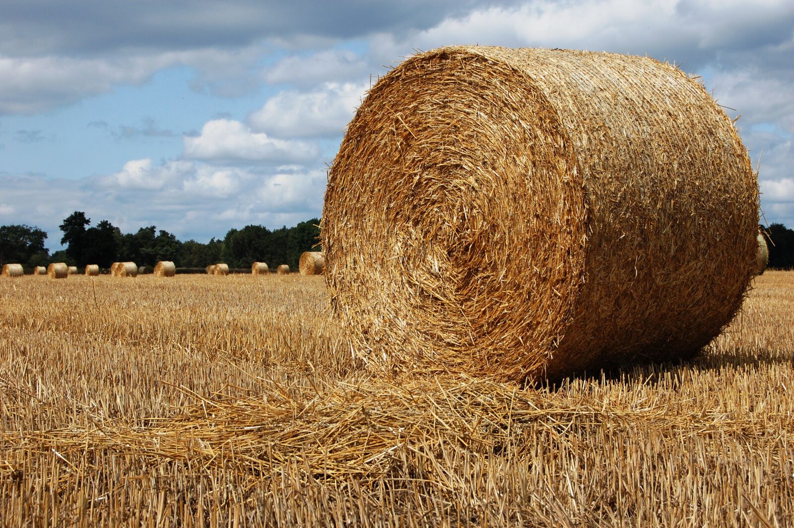 Nikon D40 sample photo. Bales of hay, field photography