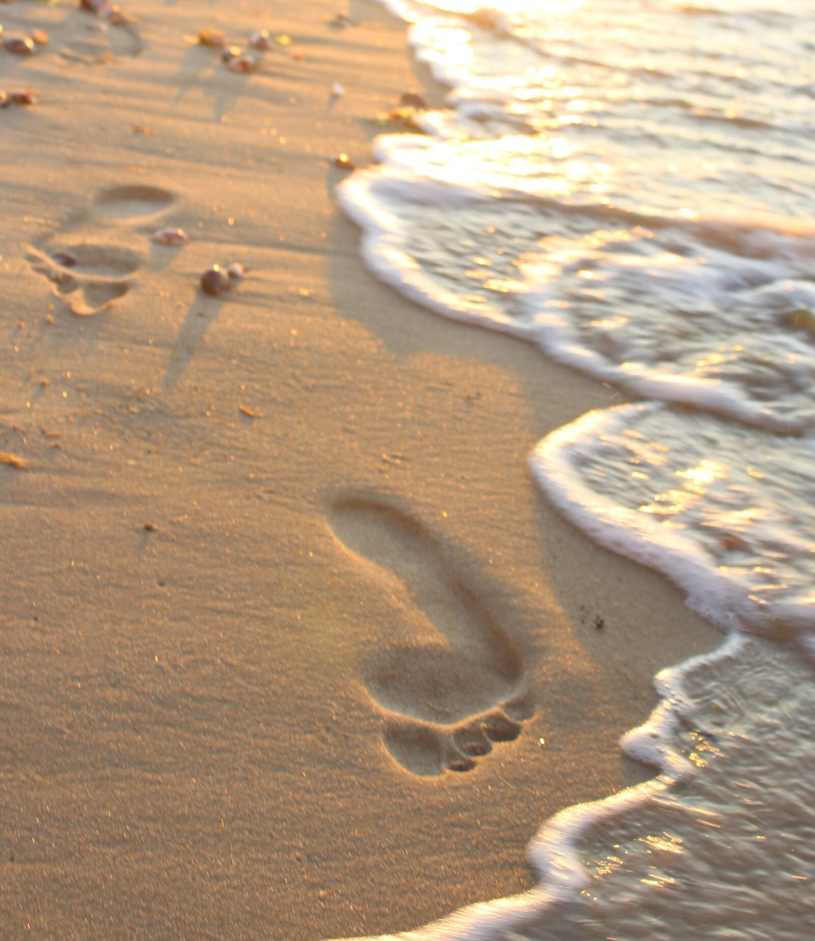 Canon EOS 1300D (EOS Rebel T6 / EOS Kiss X80) sample photo. Footprints, beach, barefoot photography