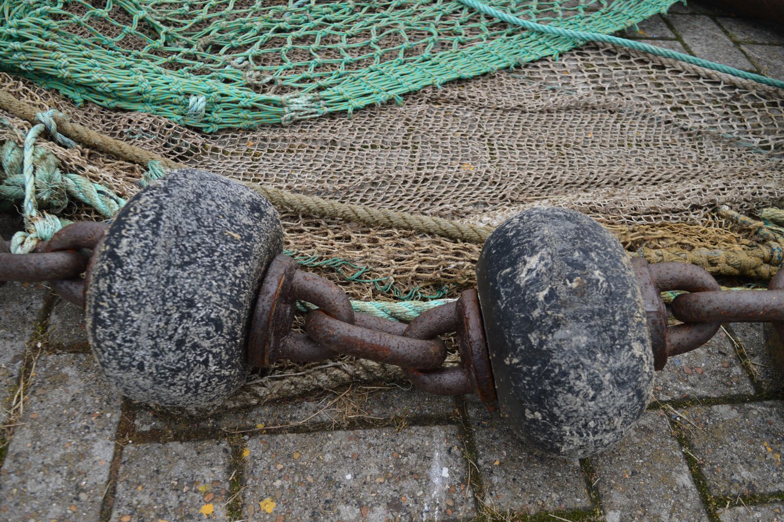 Nikon D3200 sample photo. Role footrope, coo, fishing photography